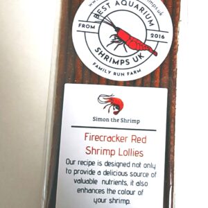 HIGH QUALITY SHRIMP LOLLIES FIRECRACKER RED