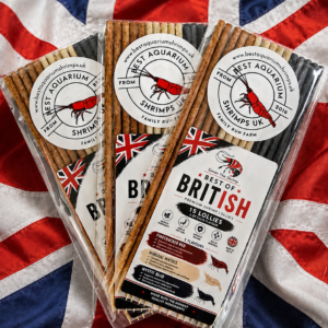 Best Of British Shrimp Lollies