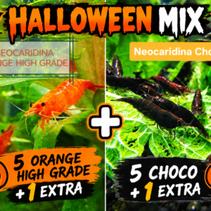 HALLOWEEN SCARY MIX 🎃
